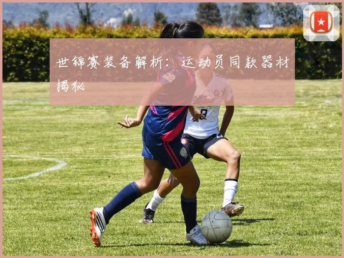 世锦赛装备解析:运动员同款器材揭秘